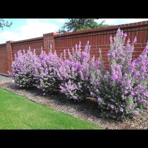 Meet your Posher, Steph